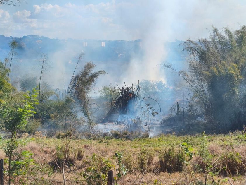Bombeiros continuam tendo  muito trabalho